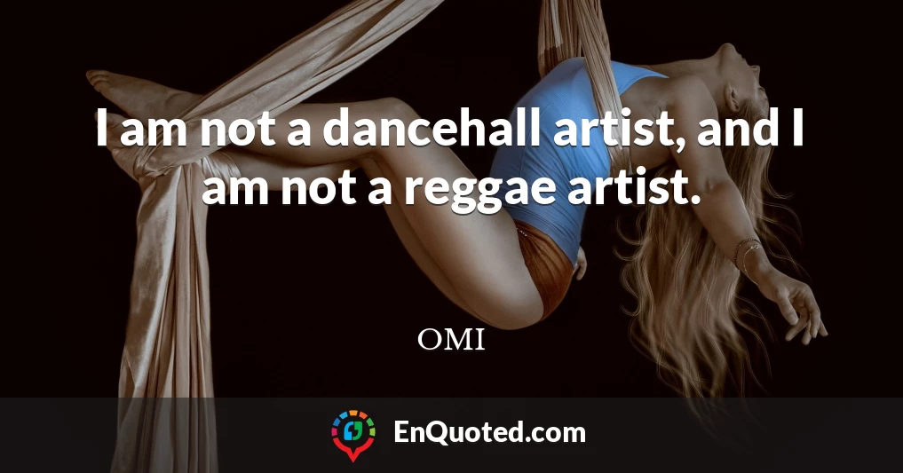 I am not a dancehall artist, and I am not a reggae artist.