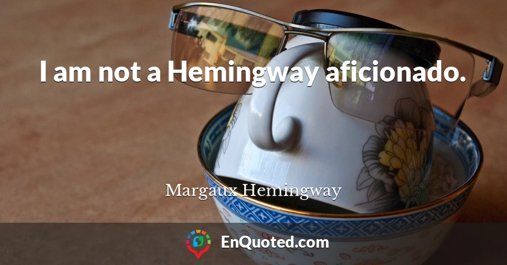 I am not a Hemingway aficionado.