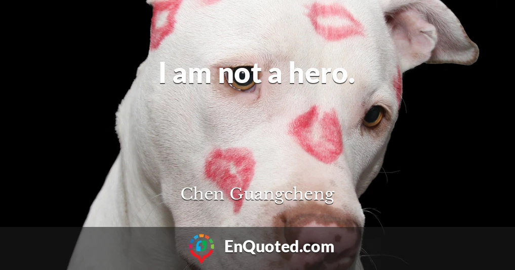 I am not a hero.