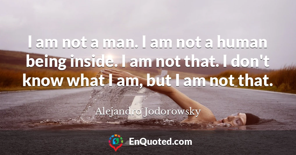 I am not a man. I am not a human being inside. I am not that. I don't know what I am, but I am not that.