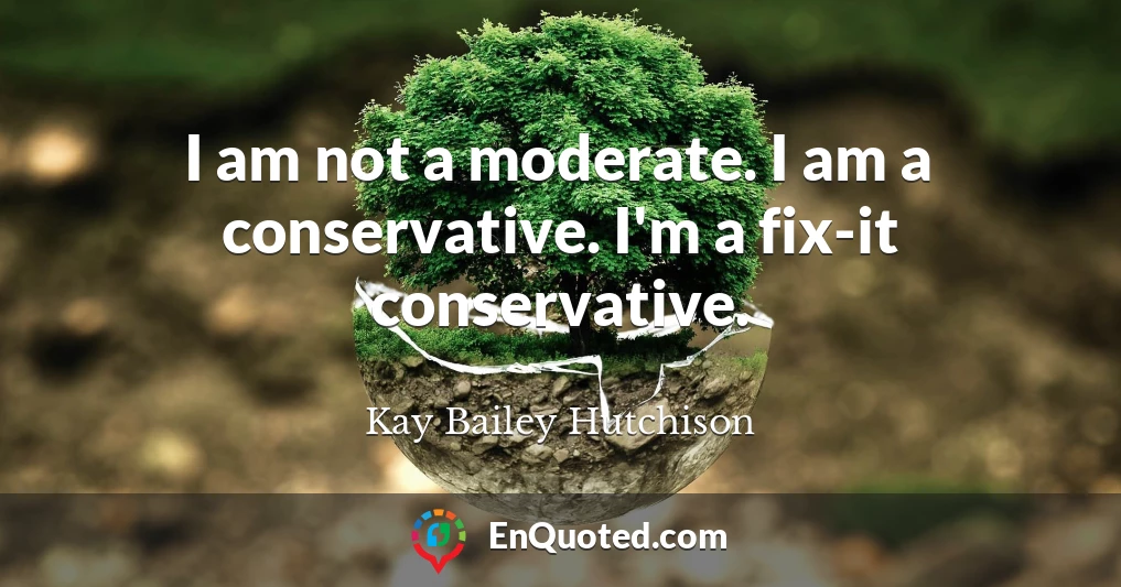 I am not a moderate. I am a conservative. I'm a fix-it conservative.