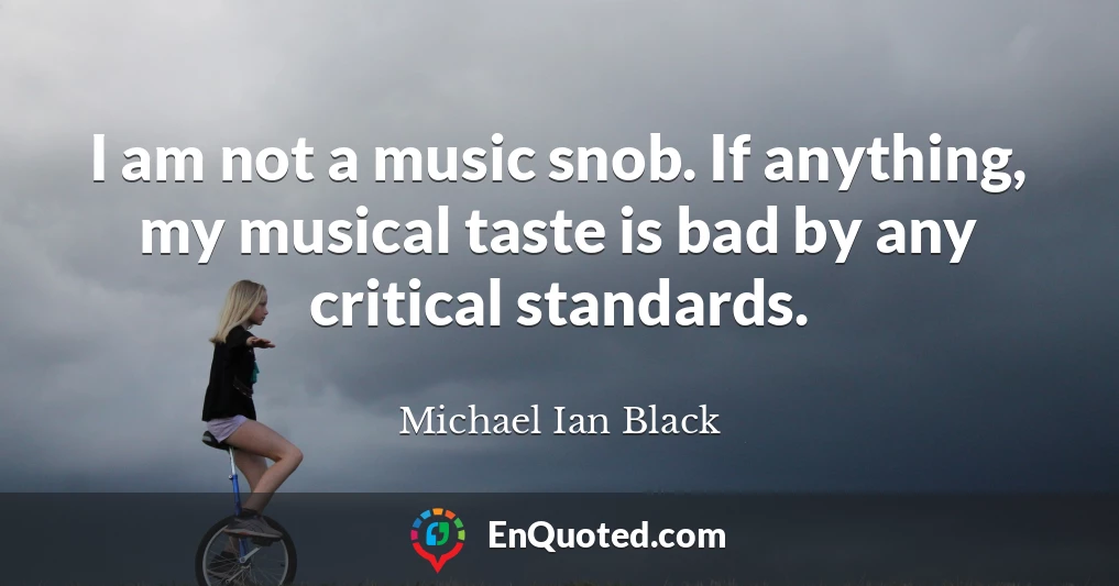 I am not a music snob. If anything, my musical taste is bad by any critical standards.
