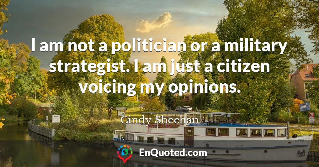 I am not a politician or a military strategist. I am just a citizen voicing my opinions.