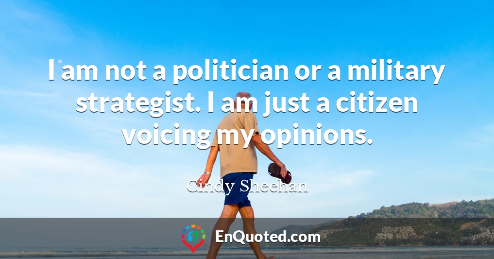 I am not a politician or a military strategist. I am just a citizen voicing my opinions.