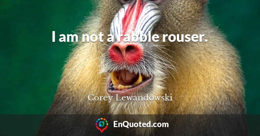 I am not a rabble rouser.