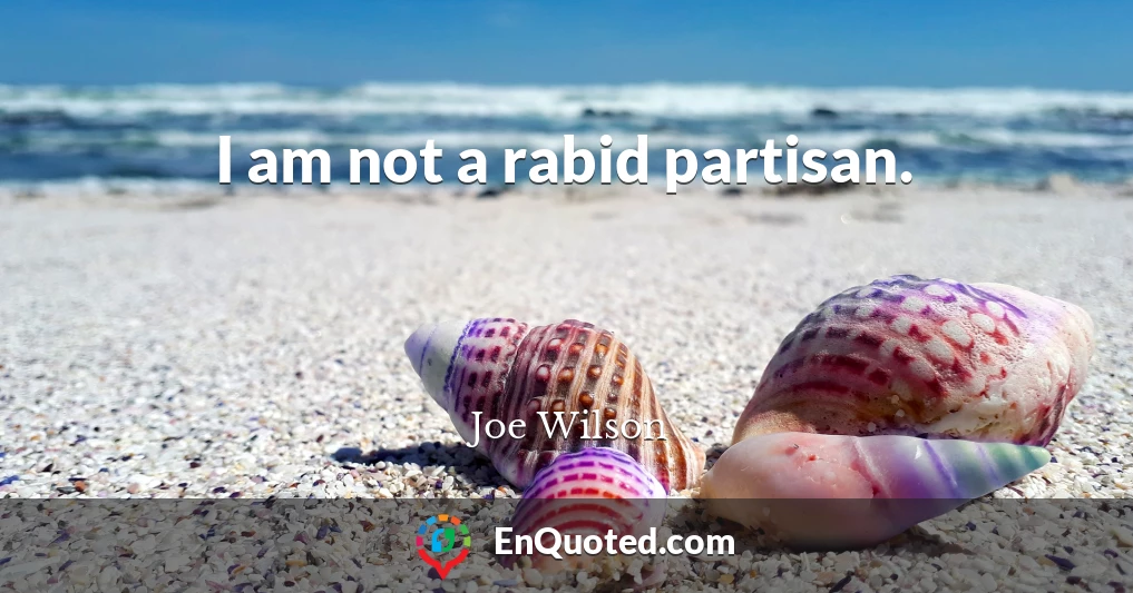 I am not a rabid partisan.