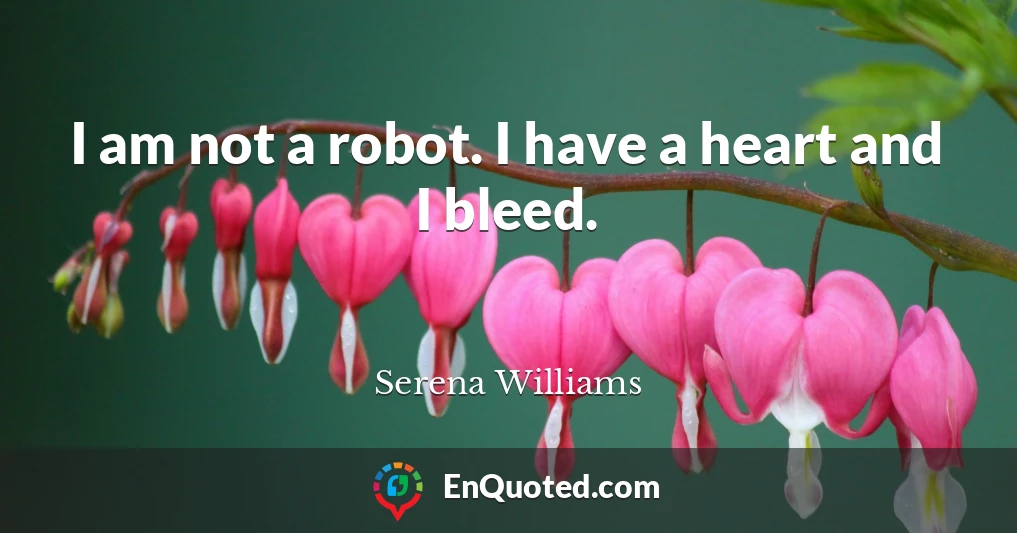 I am not a robot. I have a heart and I bleed.