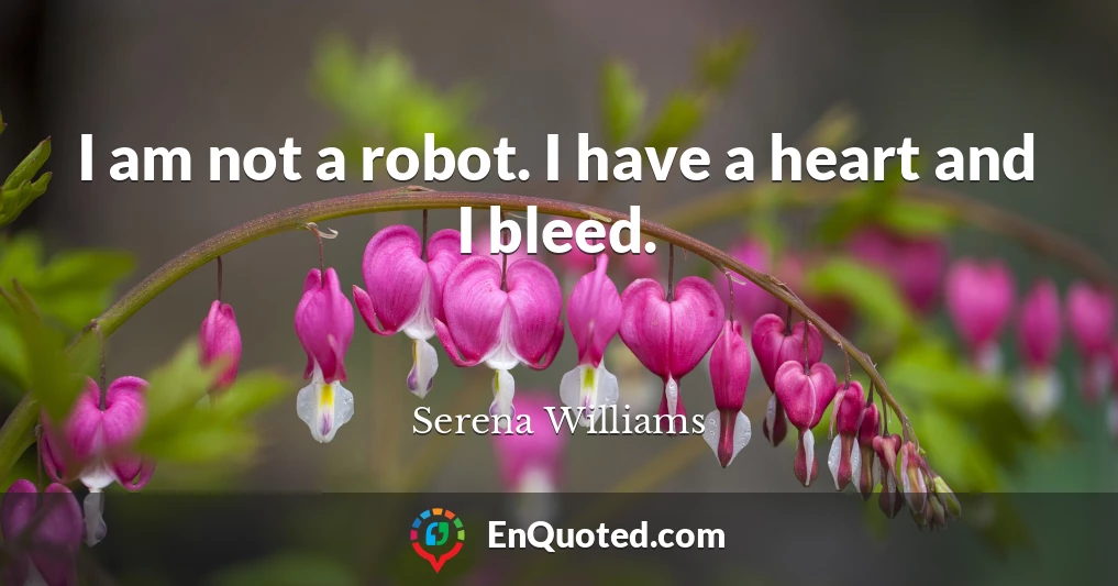 I am not a robot. I have a heart and I bleed.