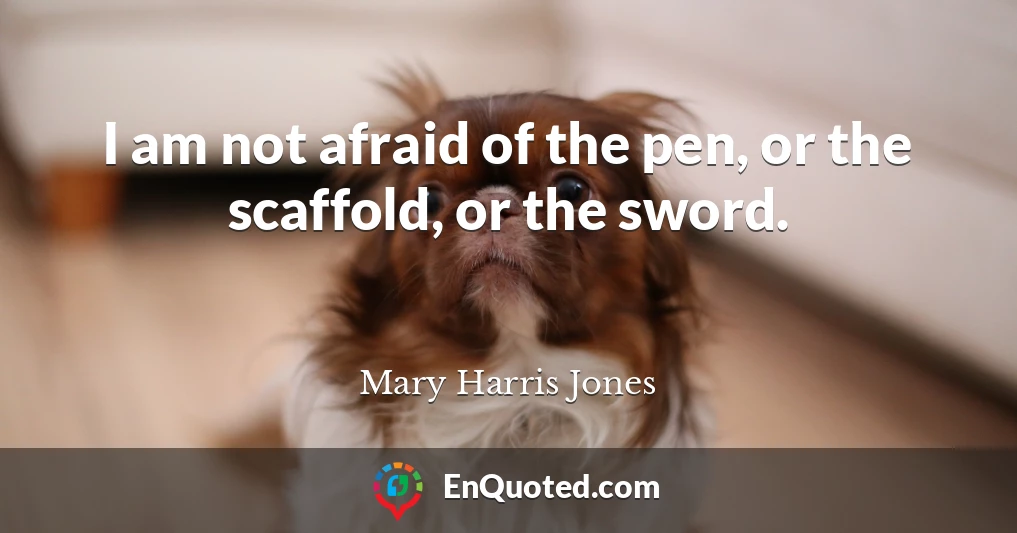 I am not afraid of the pen, or the scaffold, or the sword.