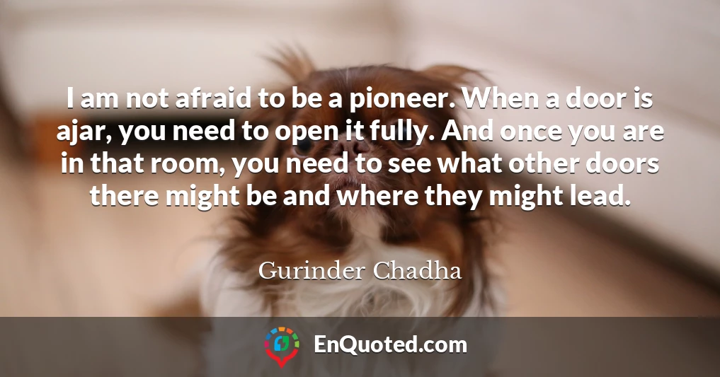 I am not afraid to be a pioneer. When a door is ajar, you need to open it fully. And once you are in that room, you need to see what other doors there might be and where they might lead.
