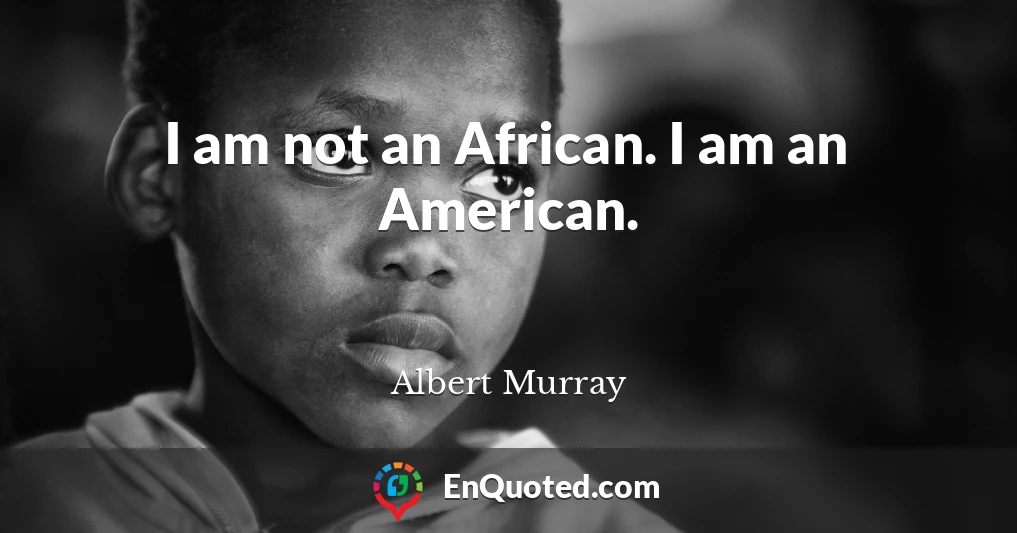 I am not an African. I am an American.