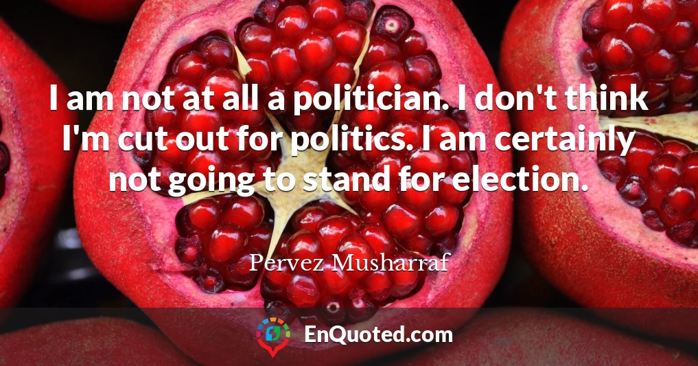 I am not at all a politician. I don't think I'm cut out for politics. I am certainly not going to stand for election.