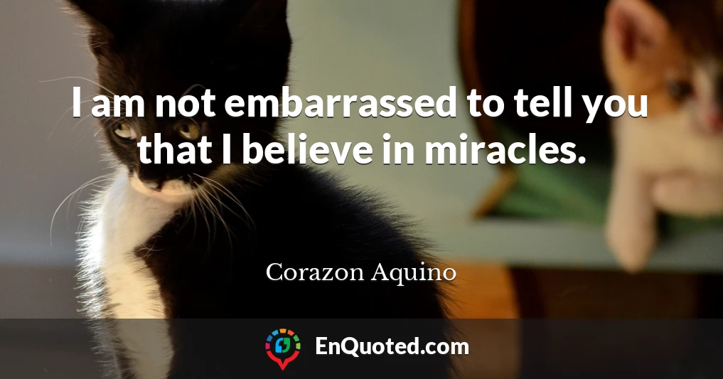 I am not embarrassed to tell you that I believe in miracles.