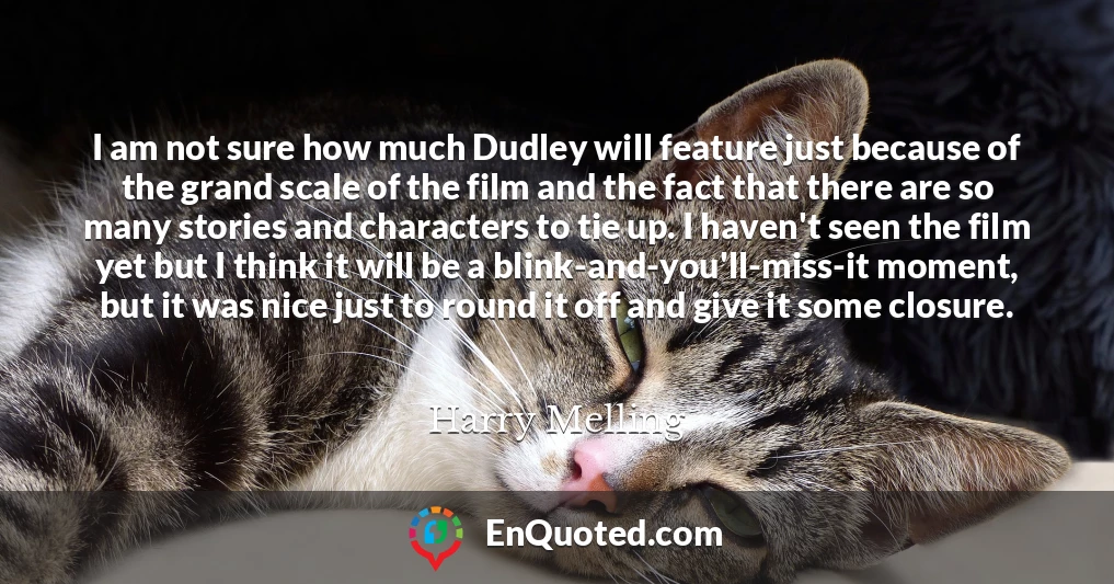 I am not sure how much Dudley will feature just because of the grand scale of the film and the fact that there are so many stories and characters to tie up. I haven't seen the film yet but I think it will be a blink-and-you'll-miss-it moment, but it was nice just to round it off and give it some closure.