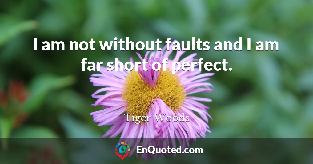 I am not without faults and I am far short of perfect.