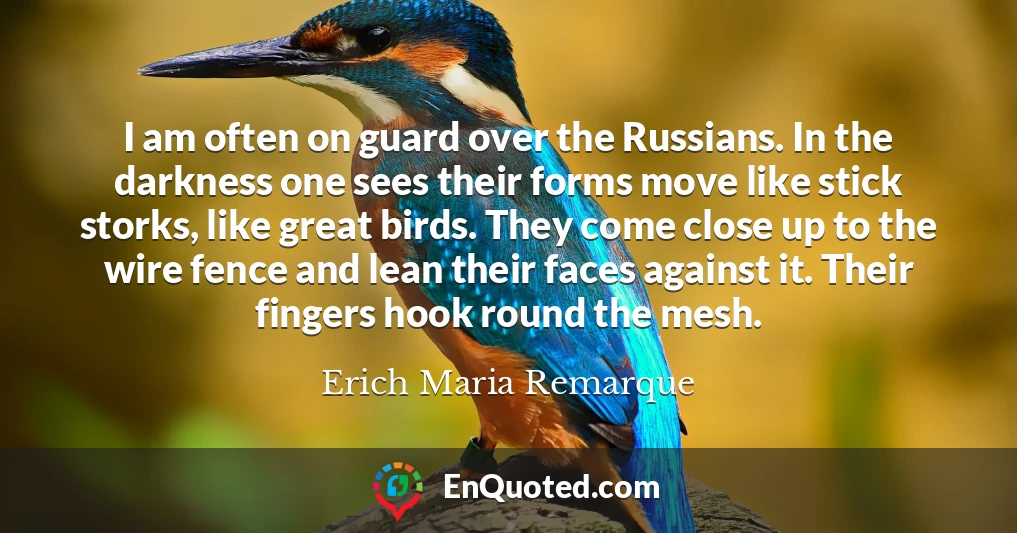 I am often on guard over the Russians. In the darkness one sees their forms move like stick storks, like great birds. They come close up to the wire fence and lean their faces against it. Their fingers hook round the mesh.