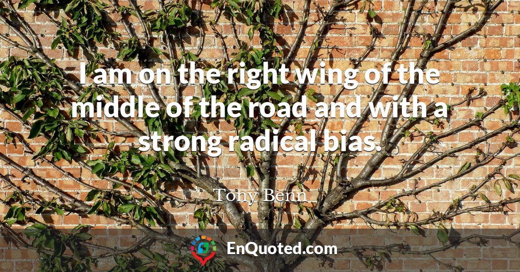 I am on the right wing of the middle of the road and with a strong radical bias.