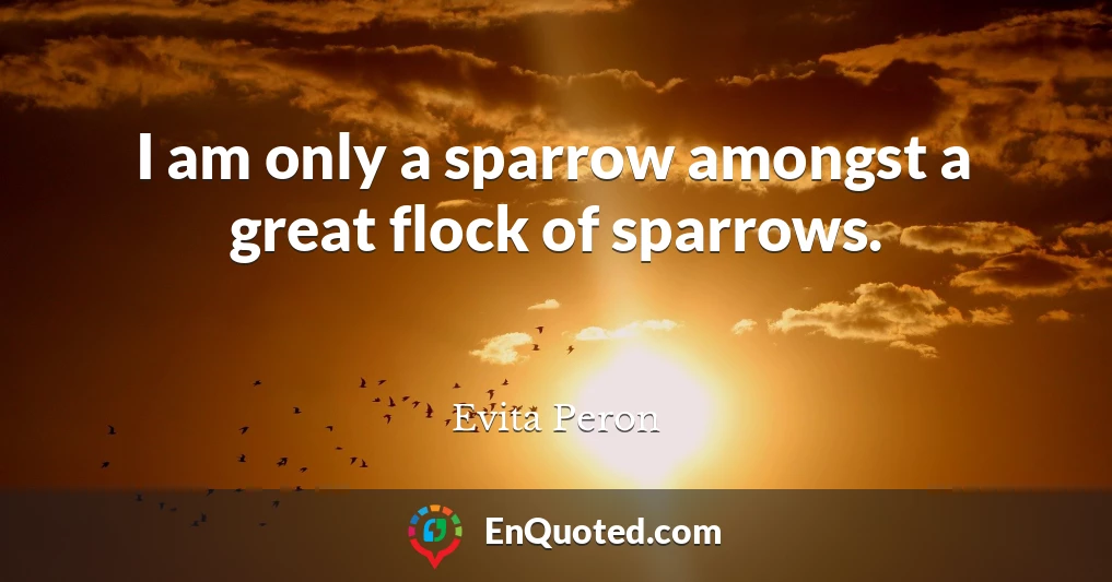 I am only a sparrow amongst a great flock of sparrows.