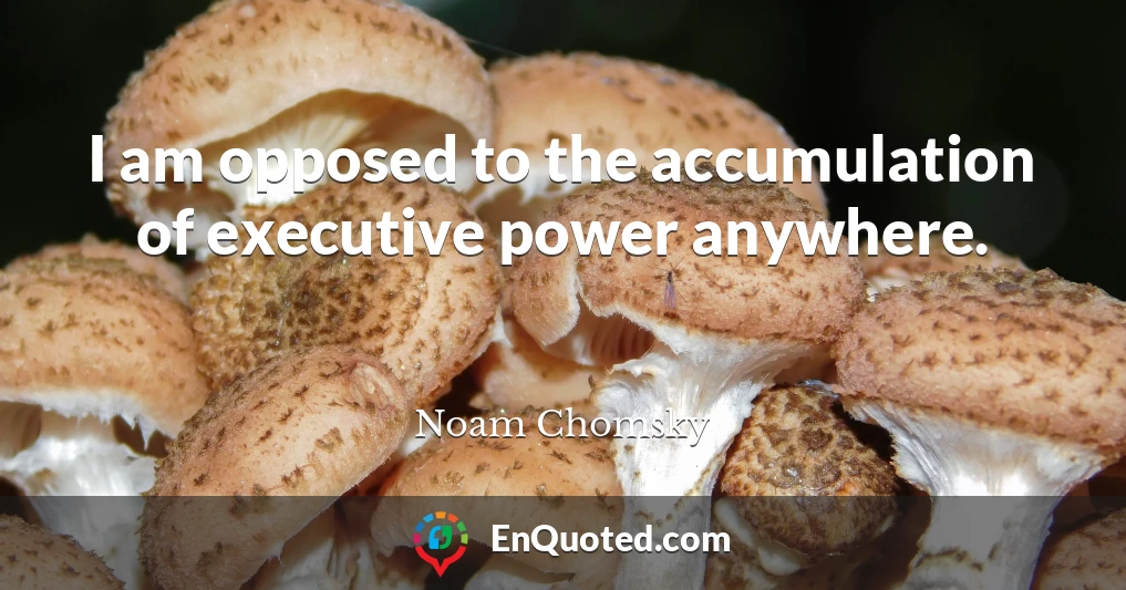 I am opposed to the accumulation of executive power anywhere.