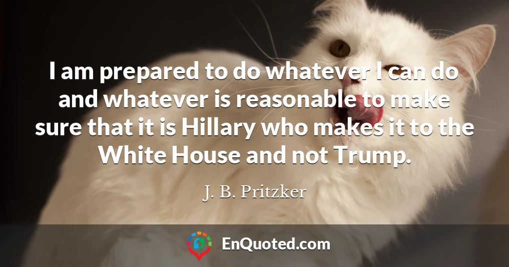 I am prepared to do whatever I can do and whatever is reasonable to make sure that it is Hillary who makes it to the White House and not Trump.