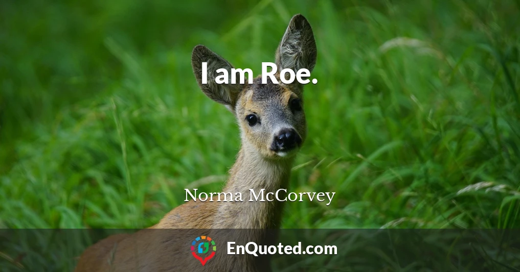 I am Roe.
