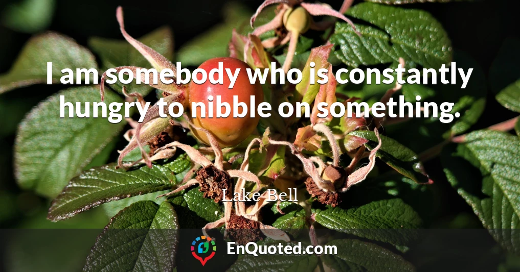 I am somebody who is constantly hungry to nibble on something.