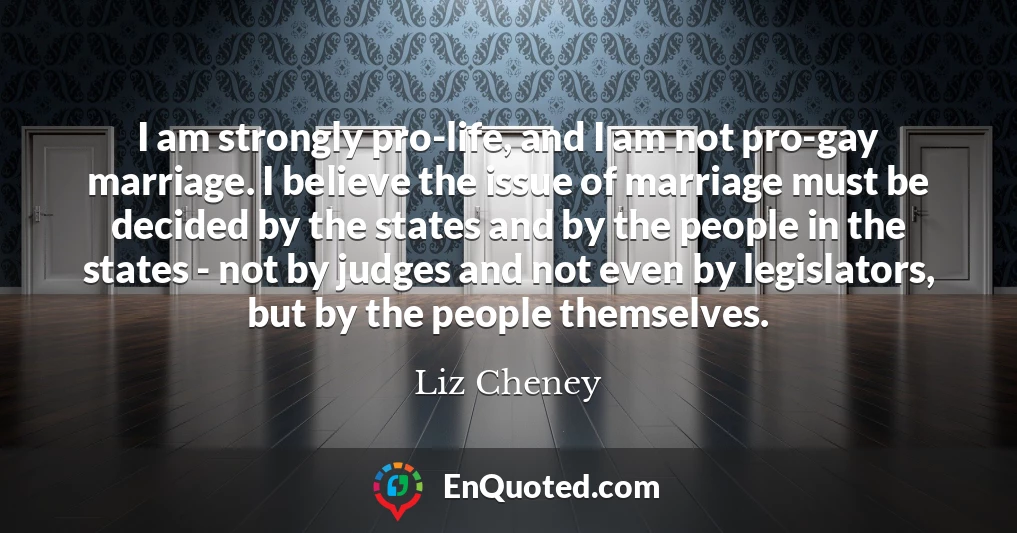 I am strongly pro-life, and I am not pro-gay marriage. I believe the issue of marriage must be decided by the states and by the people in the states - not by judges and not even by legislators, but by the people themselves.