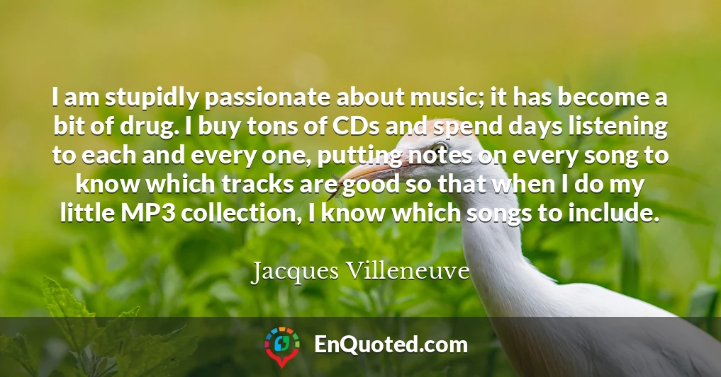I am stupidly passionate about music; it has become a bit of drug. I buy tons of CDs and spend days listening to each and every one, putting notes on every song to know which tracks are good so that when I do my little MP3 collection, I know which songs to include.