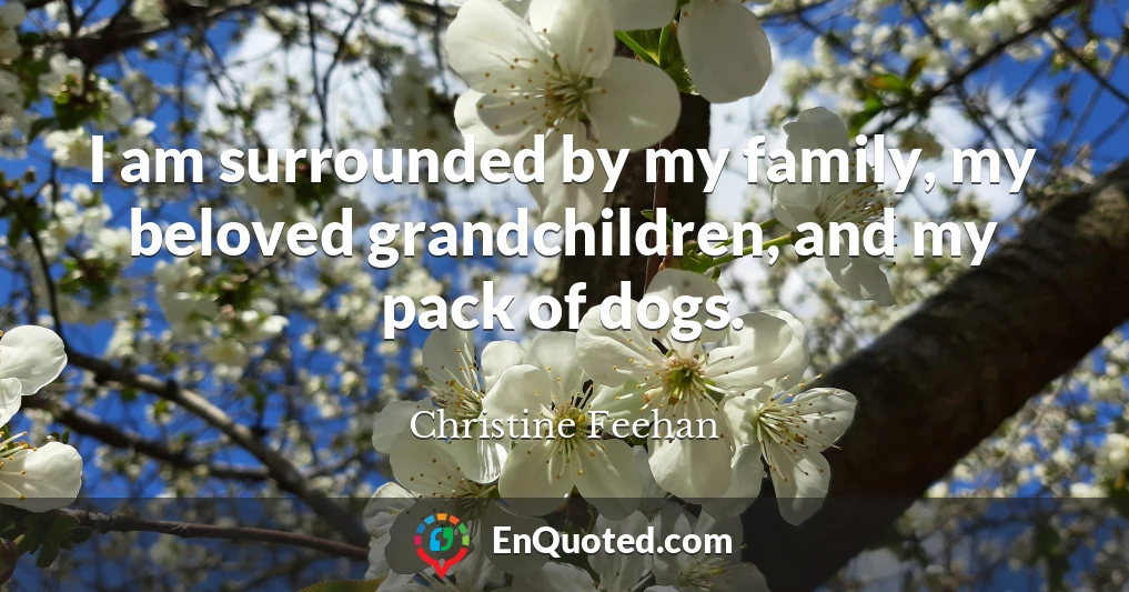 I am surrounded by my family, my beloved grandchildren, and my pack of dogs.