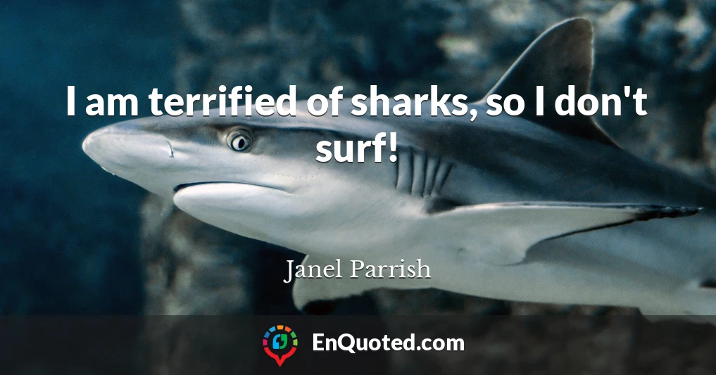 I am terrified of sharks, so I don't surf!