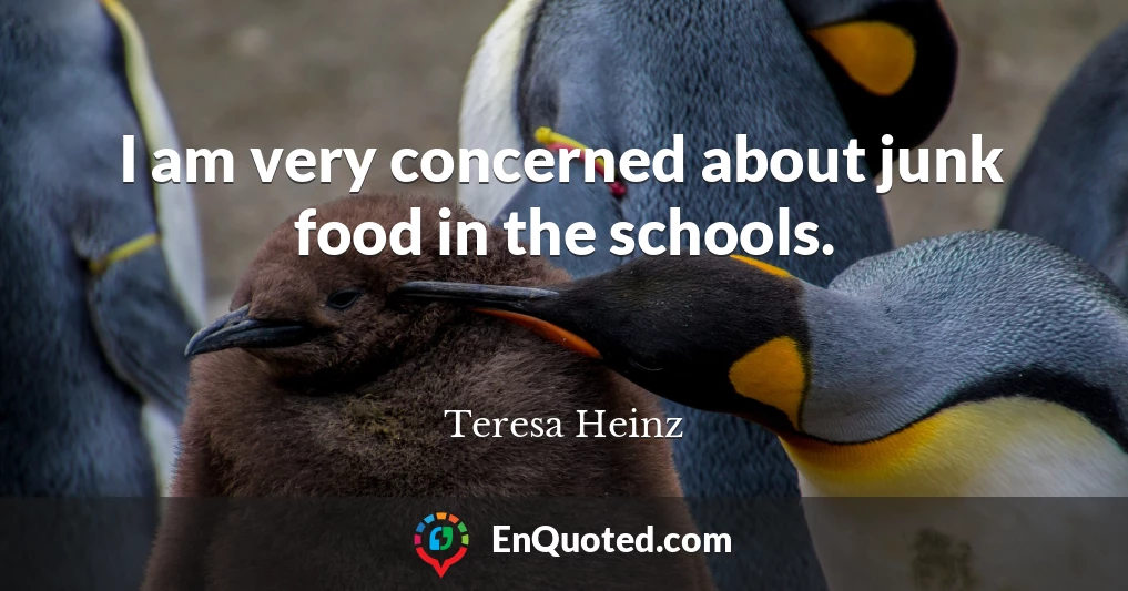 I am very concerned about junk food in the schools.