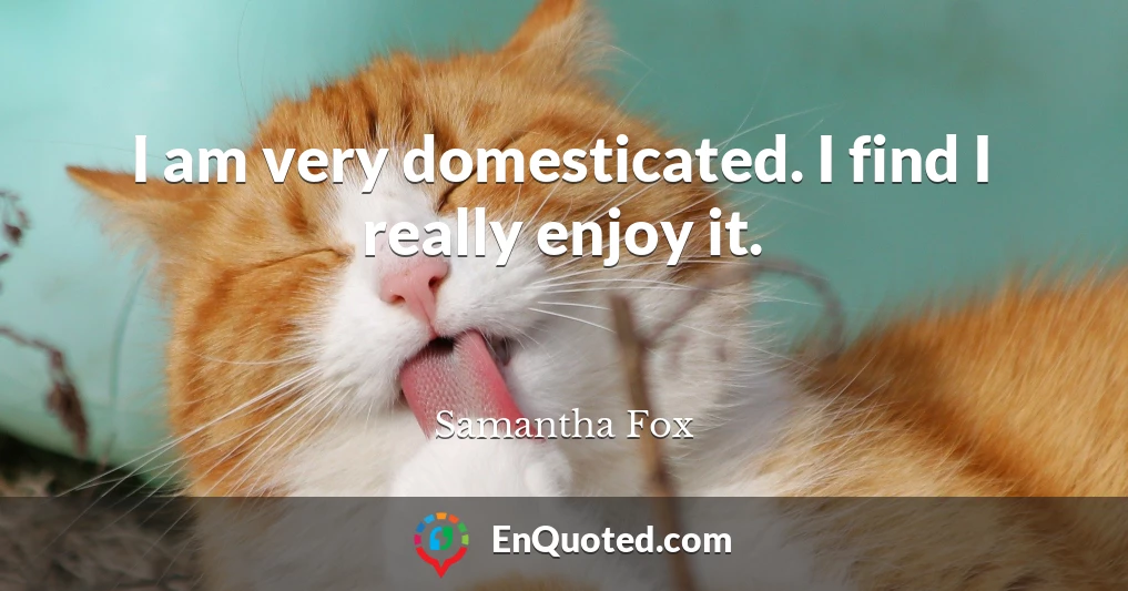 I am very domesticated. I find I really enjoy it.