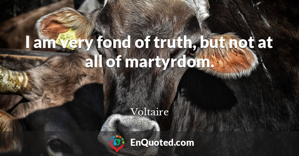 I am very fond of truth, but not at all of martyrdom.