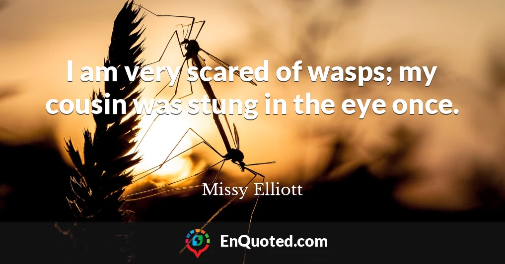 I am very scared of wasps; my cousin was stung in the eye once.