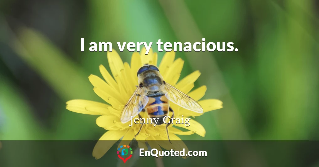 I am very tenacious.