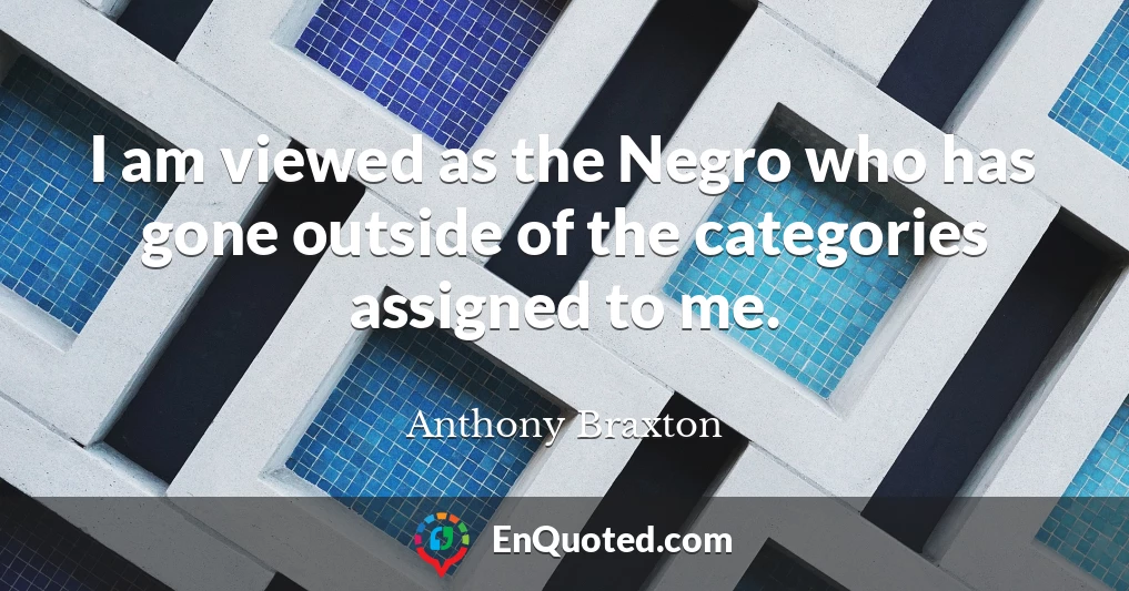 I am viewed as the Negro who has gone outside of the categories assigned to me.