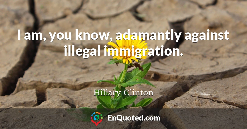 I am, you know, adamantly against illegal immigration.