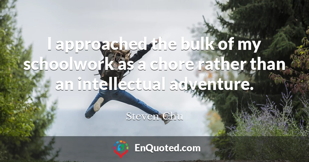 I approached the bulk of my schoolwork as a chore rather than an intellectual adventure.