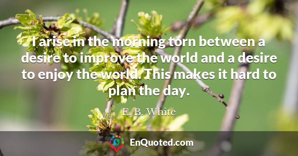 I arise in the morning torn between a desire to improve the world and a desire to enjoy the world. This makes it hard to plan the day.