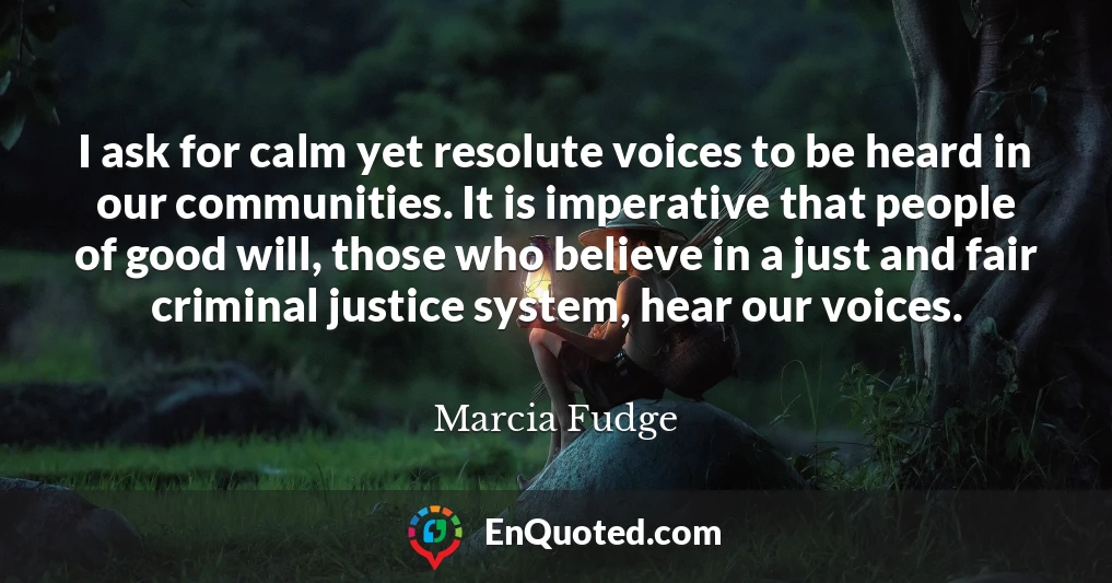 I ask for calm yet resolute voices to be heard in our communities. It is imperative that people of good will, those who believe in a just and fair criminal justice system, hear our voices.