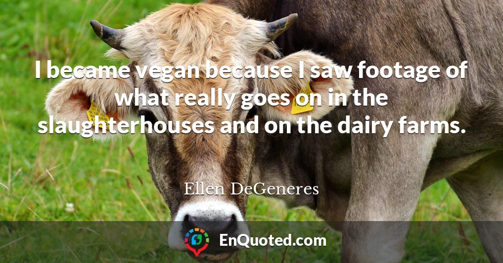 I became vegan because I saw footage of what really goes on in the slaughterhouses and on the dairy farms.