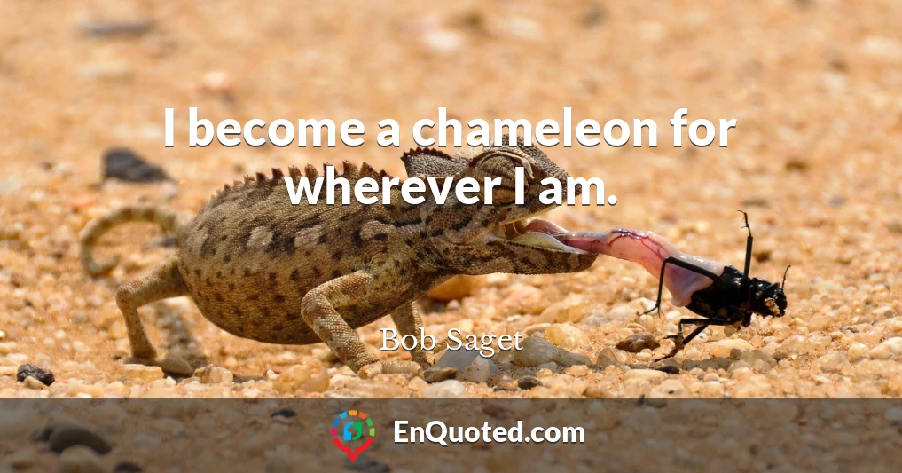 I become a chameleon for wherever I am.