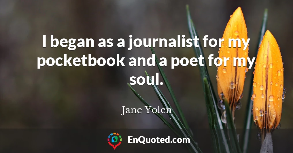 I began as a journalist for my pocketbook and a poet for my soul.