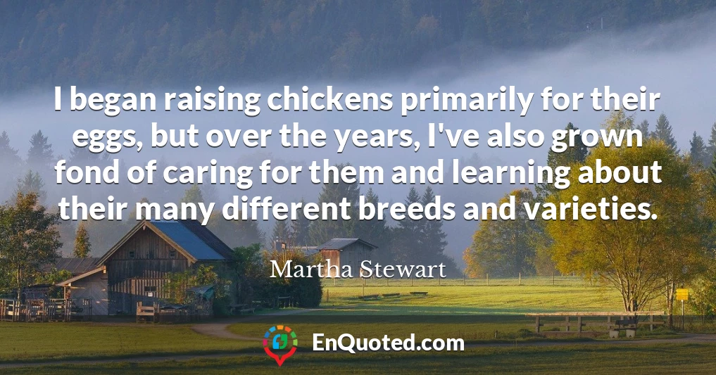 I began raising chickens primarily for their eggs, but over the years, I've also grown fond of caring for them and learning about their many different breeds and varieties.