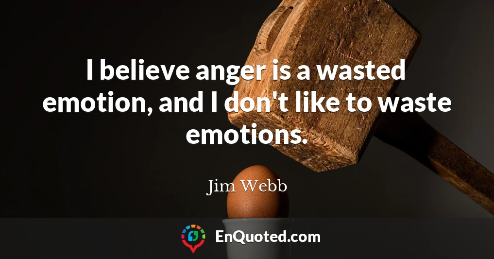 I believe anger is a wasted emotion, and I don't like to waste emotions.