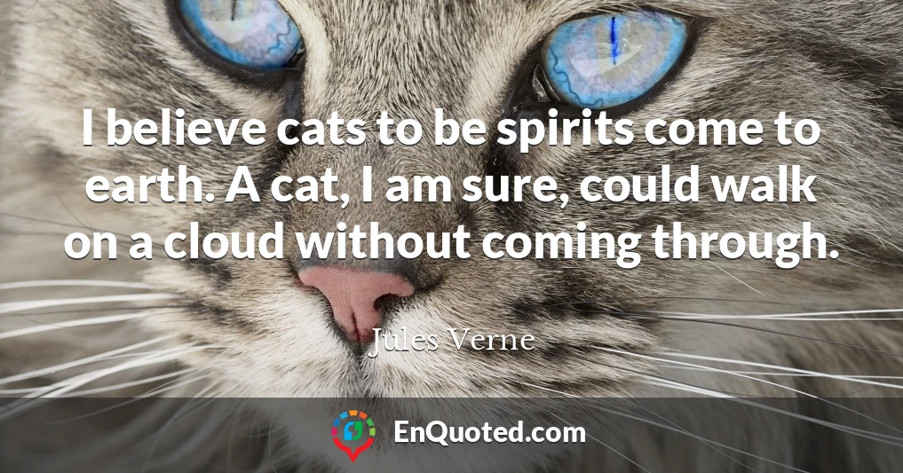 I believe cats to be spirits come to earth. A cat, I am sure, could walk on a cloud without coming through.