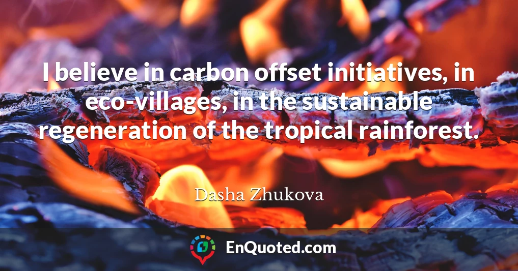 I believe in carbon offset initiatives, in eco-villages, in the sustainable regeneration of the tropical rainforest.