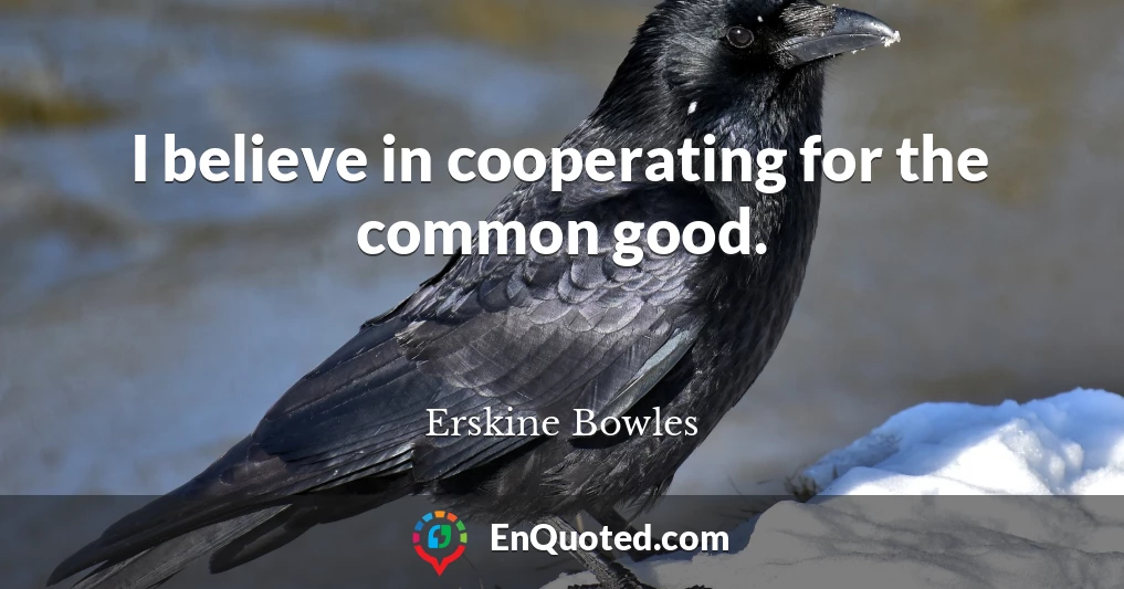 I believe in cooperating for the common good.