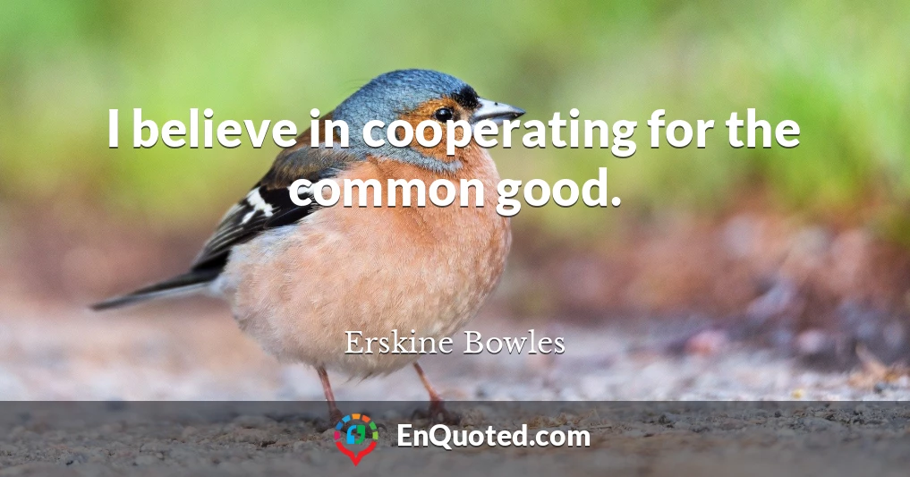 I believe in cooperating for the common good.