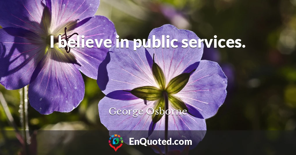I believe in public services.